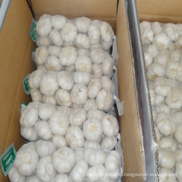 Pure White Garlic Supplier in China with Lowest Price